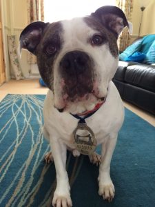 Winston and my Newport Half Marathon medal