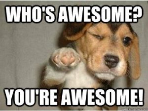 Who's awesome. You're awesome MEME